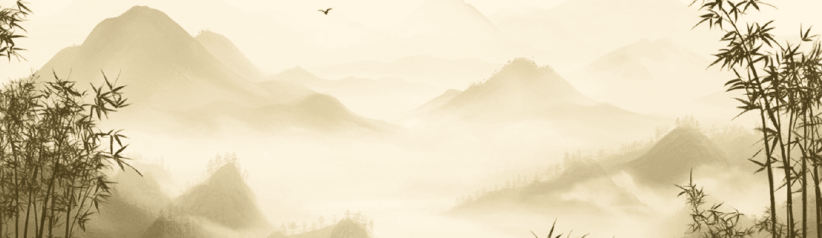 An Triết - Y học cổ truyền